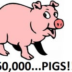 PIGS 60,000