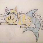 catshark-4