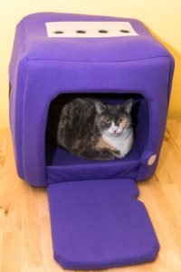 038_001_GameCube cat cube