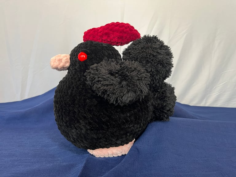 A side profile view of the void chicken.