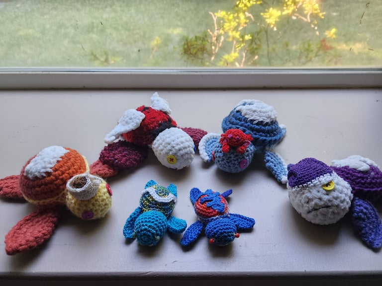 All 6 turtles, showing the 4 shift turtles, and the two mini turtles for the omega shift and DB express. They're sitting in a windowsill.
