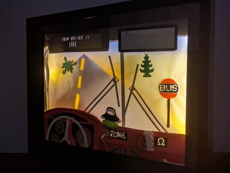 Driver Cam angled background light off