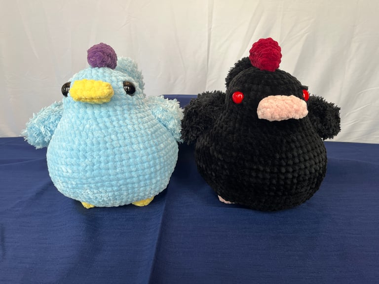 The blue and void chicken sit staring at the camera.