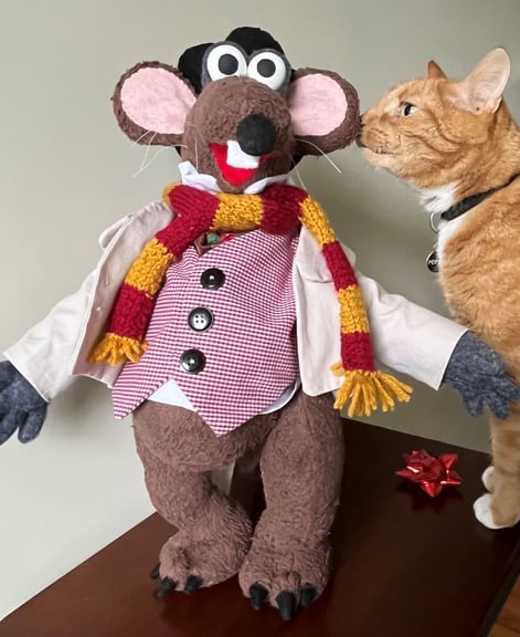 Cat for scale. Not included in shipment.
